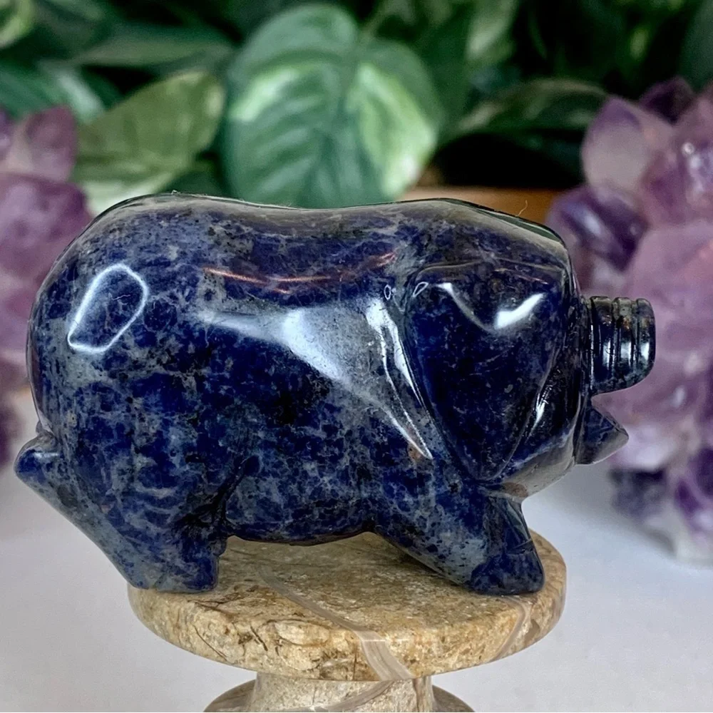 Sodalite Crystal Carved Pig Figurine Blue Stone Animal Carving Chinese Zodiac